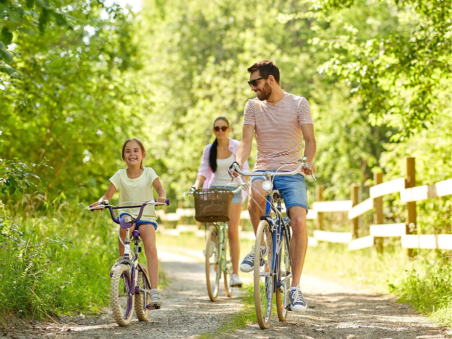 Why Insects Are More Active in the Summer