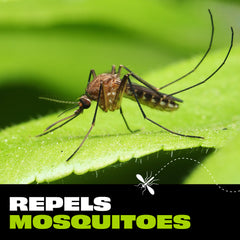 STEM™ Skin Insect Repellent