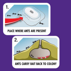 STEM™ Liquid Ant Baits
