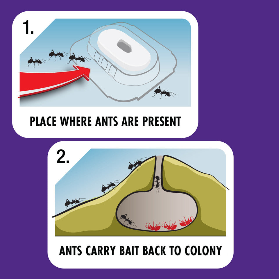 STEM™ Liquid Ant Baits